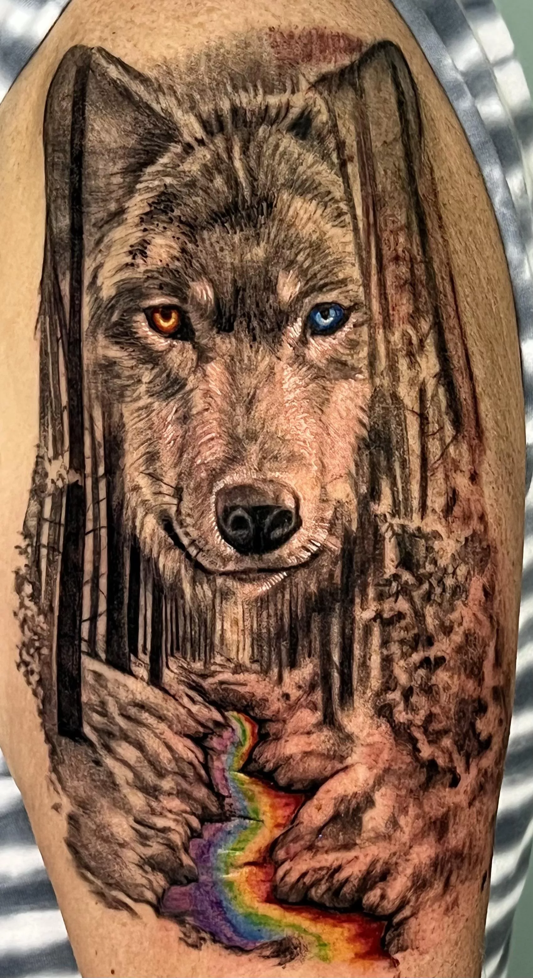 Tattoo is finished. It represents the Fire and Ice of coming out, and the roaming to find myself.