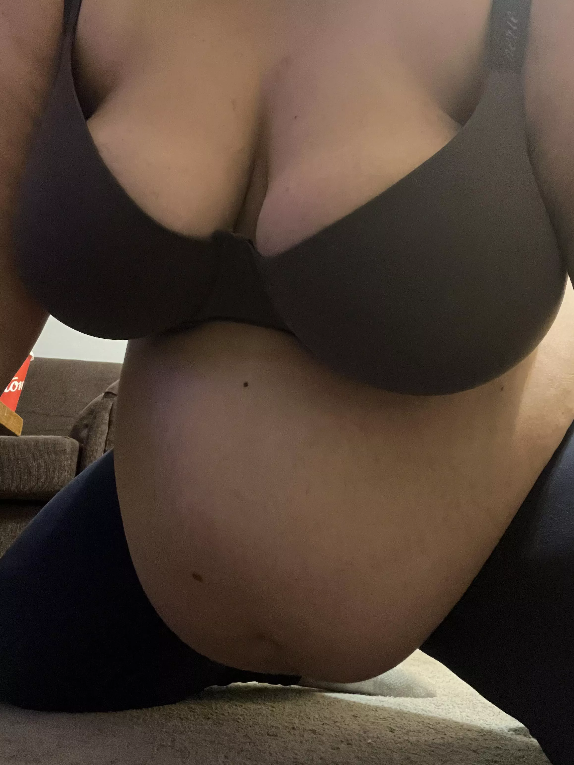 The perfect position to breed in.