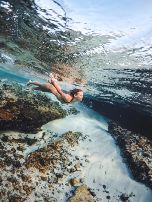 This coastal brunette spends almost her entire day in the water, searching the ocean floor for food. Her endurance is impressive and she can remain underwater for four minutes per dive. She returns to shore only to rest and, when in heat, search for a ma