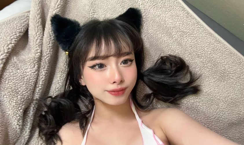 this kitty wants to play with you.