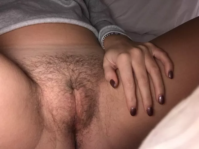 What would you do to my bush?