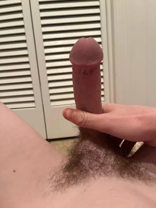 Who wants to culture suck some cum