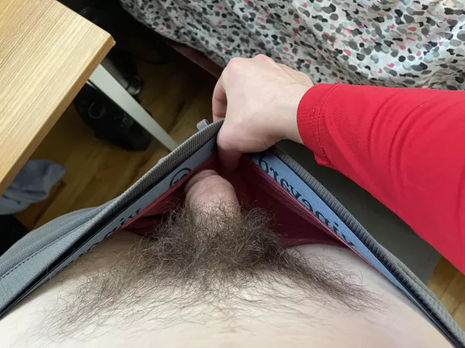 [23] Quick peak at the bush