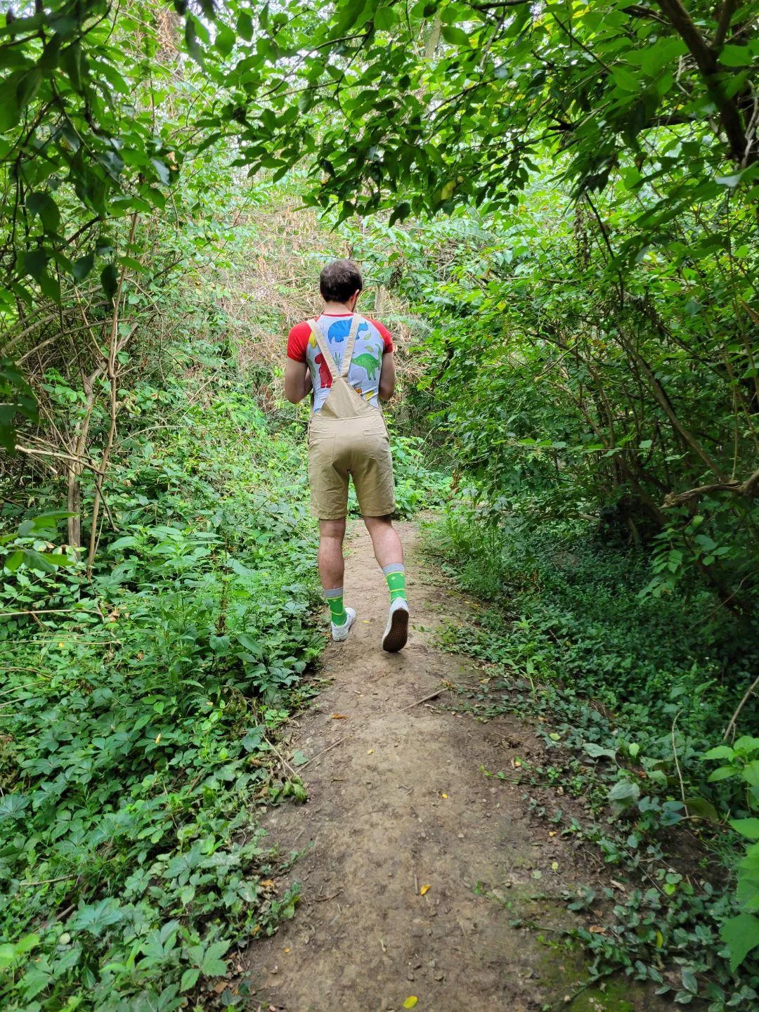 A walk through the forest 🌳🙈