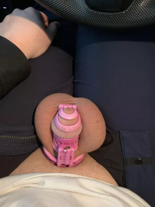 Anyone else been dreaming of being unlocked and cumming? It's driving me crazy 😖