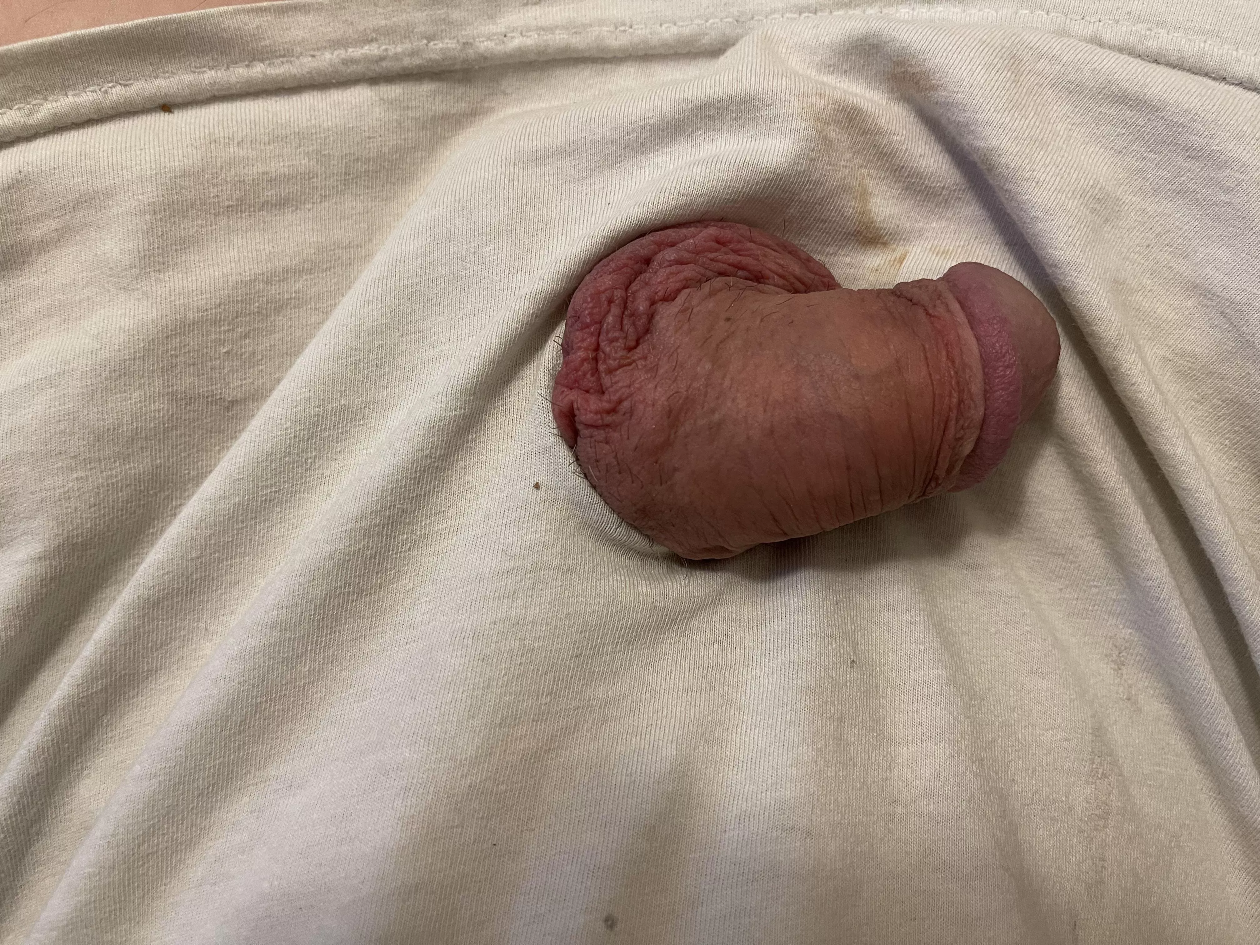 Appetizer? Definitely not a full meal.