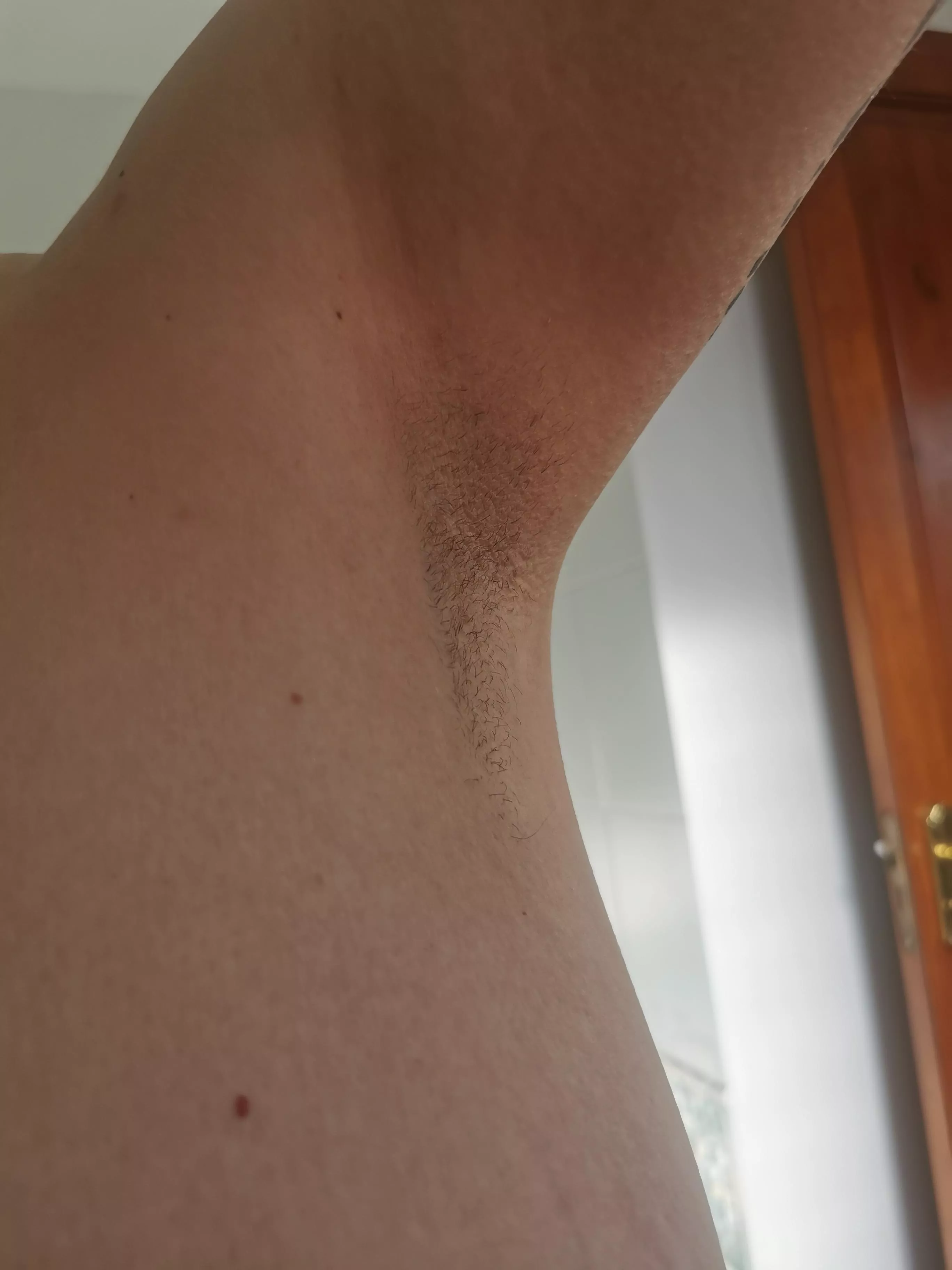 been a while since I showed off my pits 😌