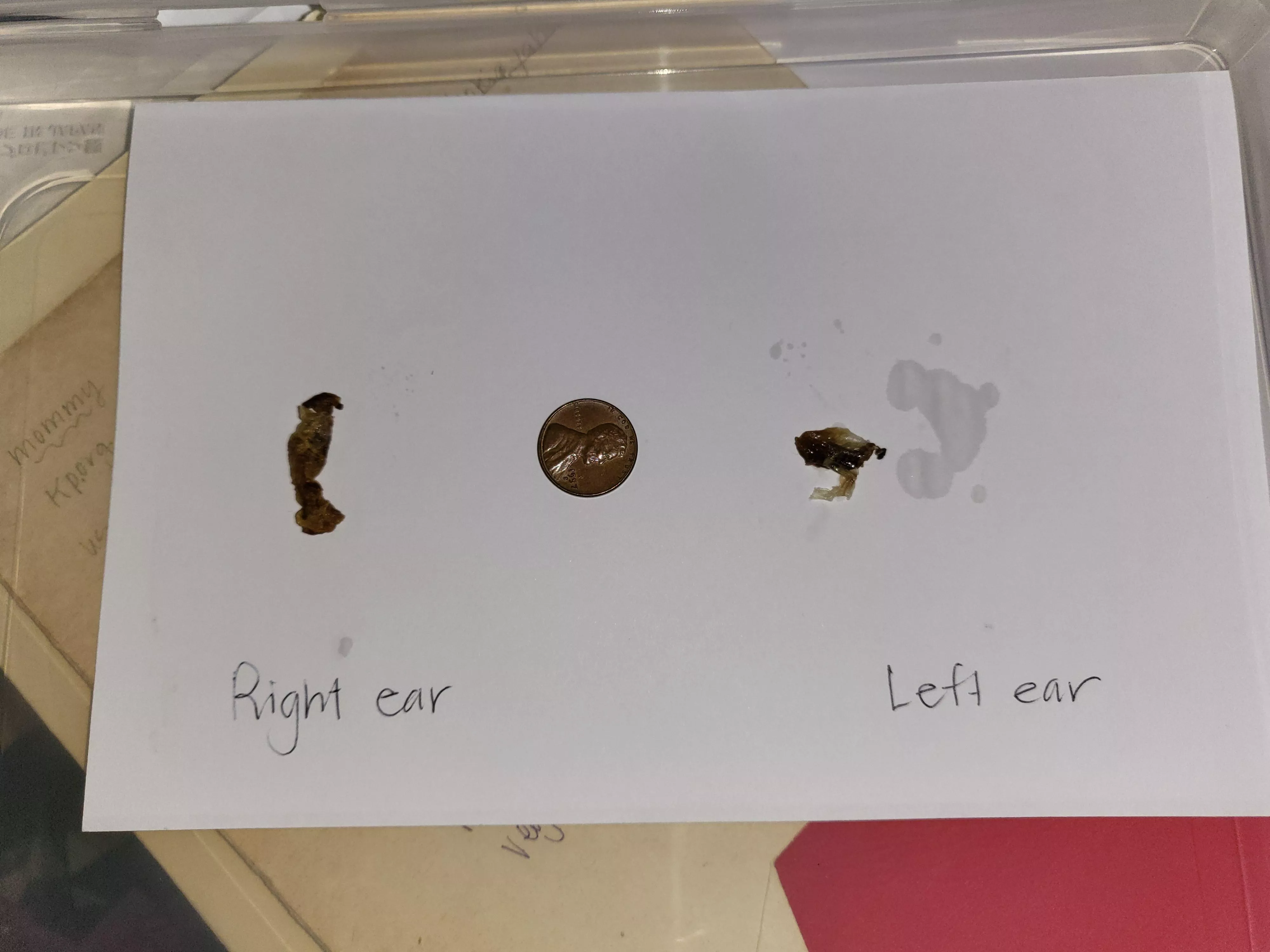 Bought gramma new hearing aids. might not have needed to after inspecting today. hearing doctor recommended upgrades. her entire ear canal was impacted on both sides. we did this at home...