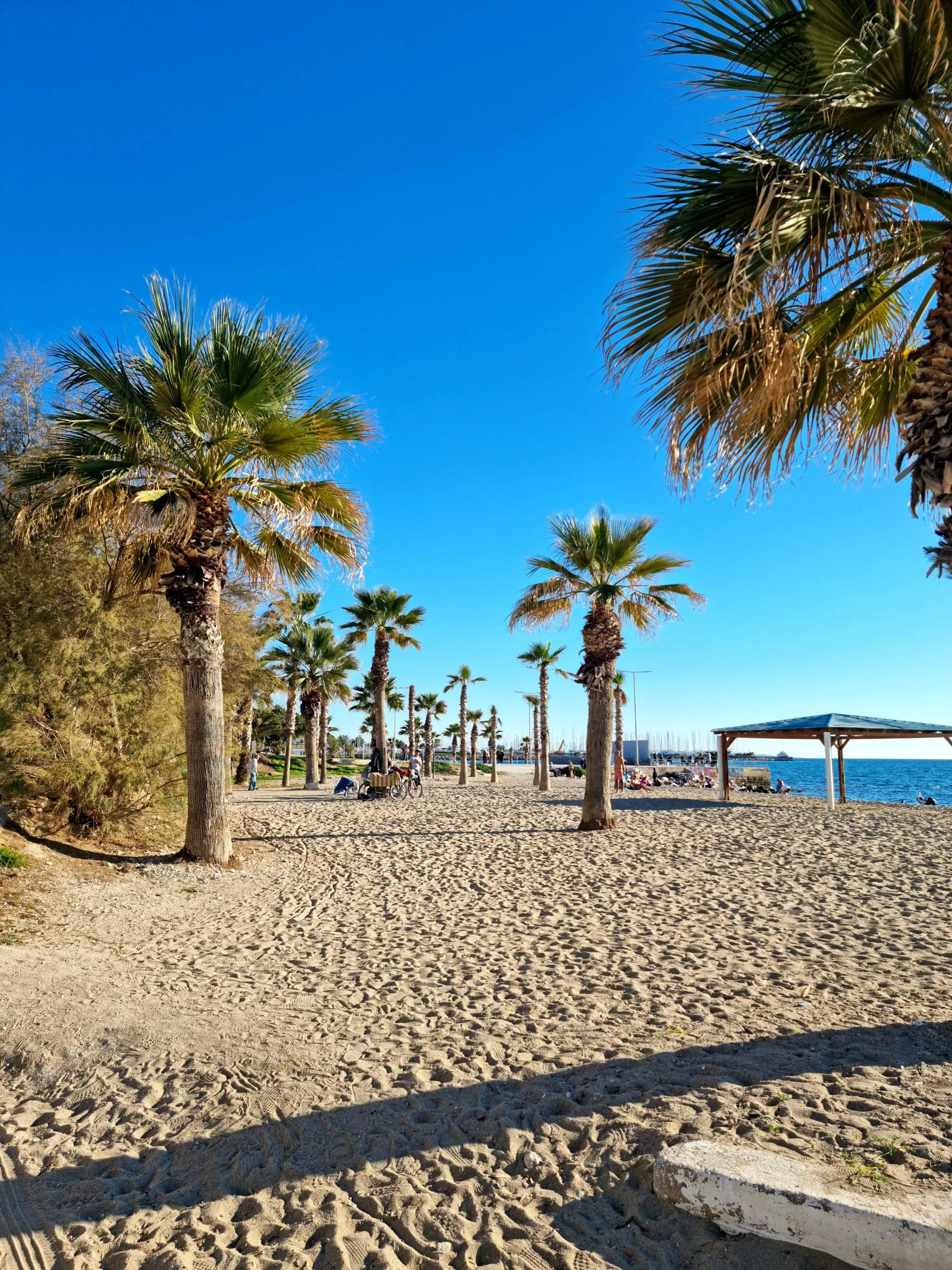 Fine day for a walk at the beach..