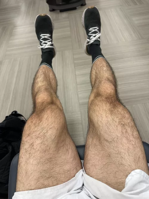 Furry leg day