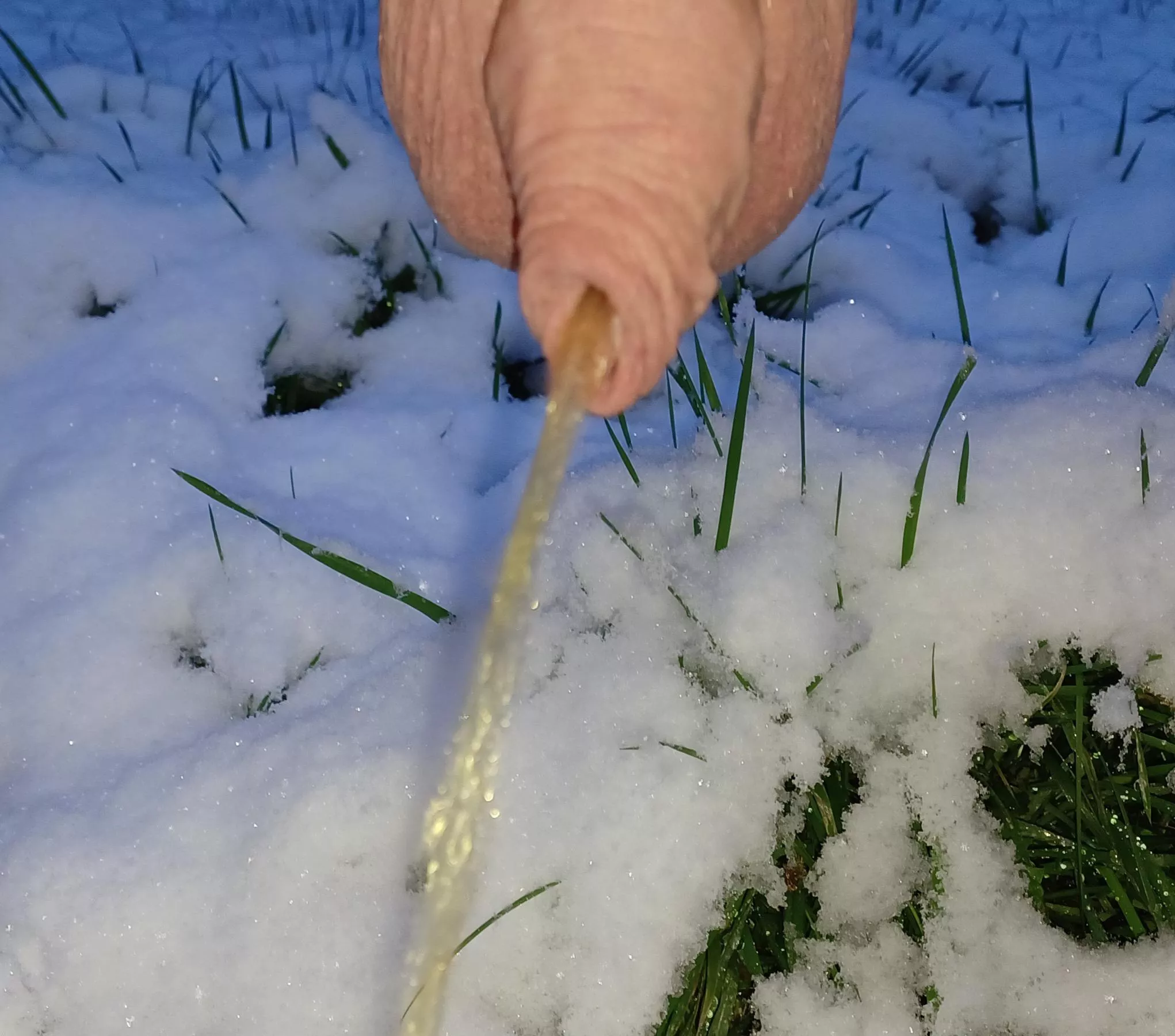 hanging out in the snow 😁