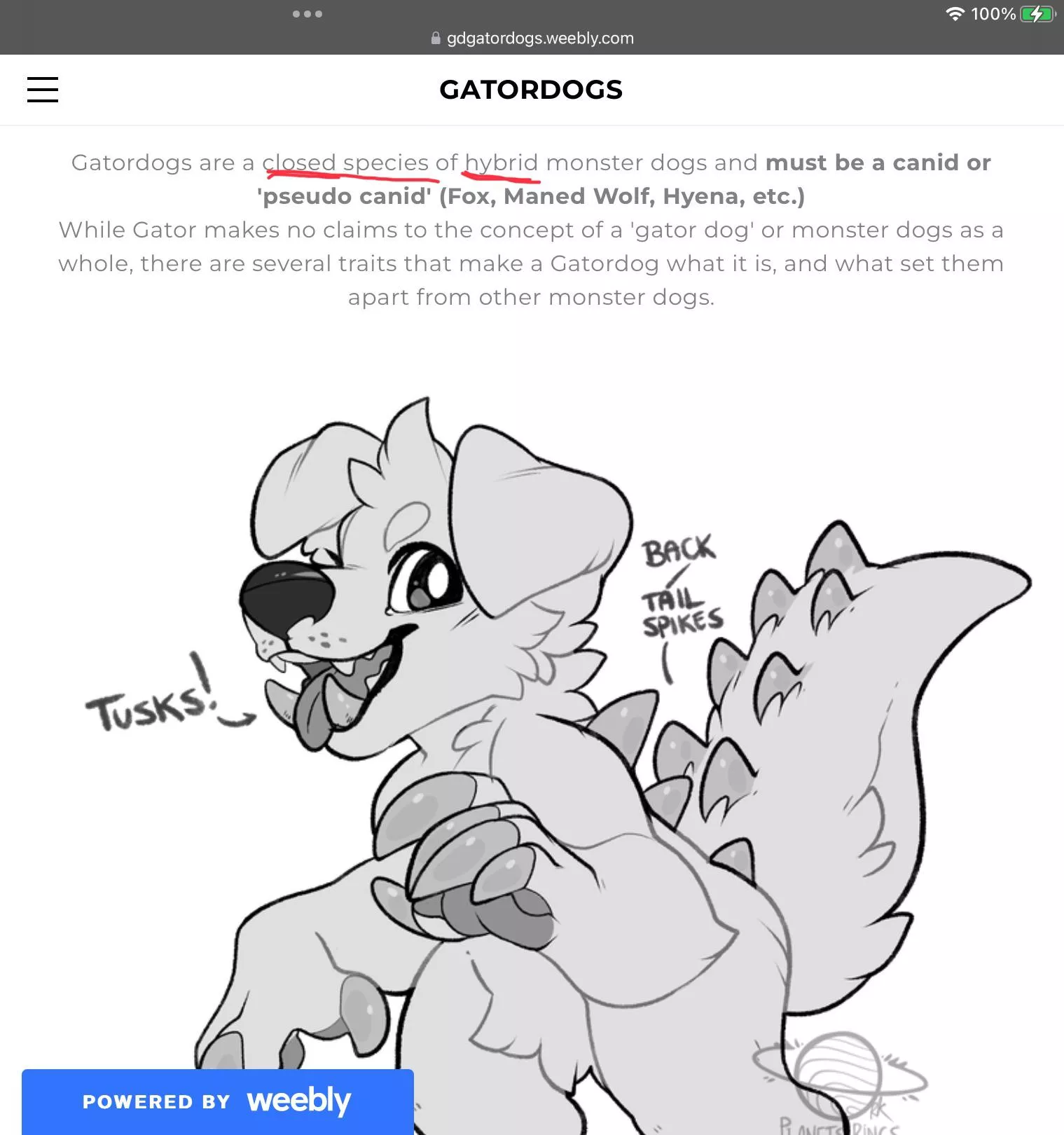 It’s things like these that make me question why I’m still in the fandom.