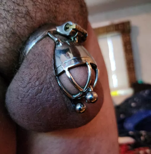 locked and pierced. had to use an old cage until I get a new ring.