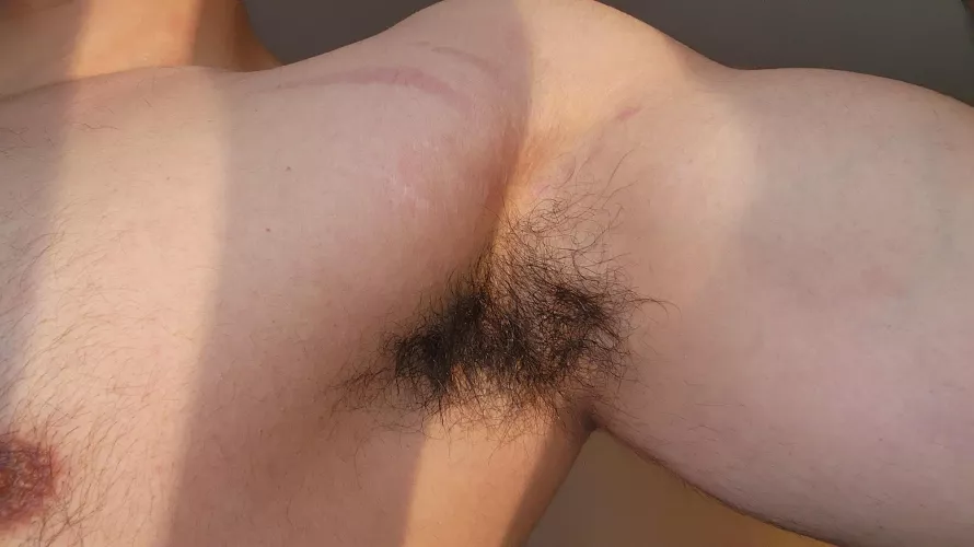 Sunkissed morning smelly pits.