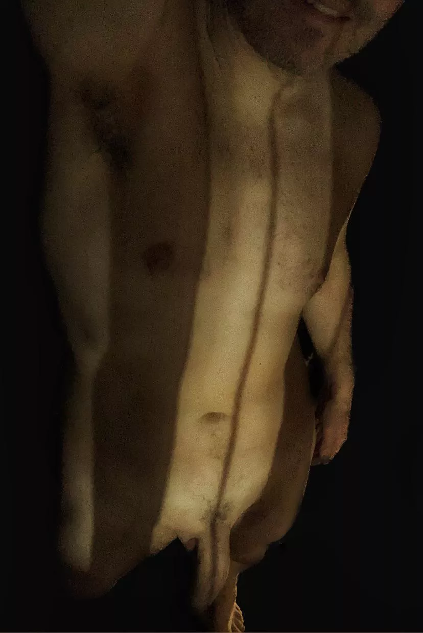 A rare striped llama sighting