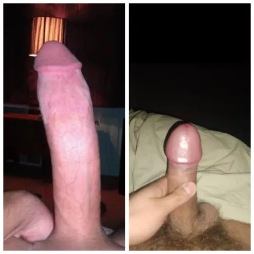 /AssociationCrazy9274 vs. me