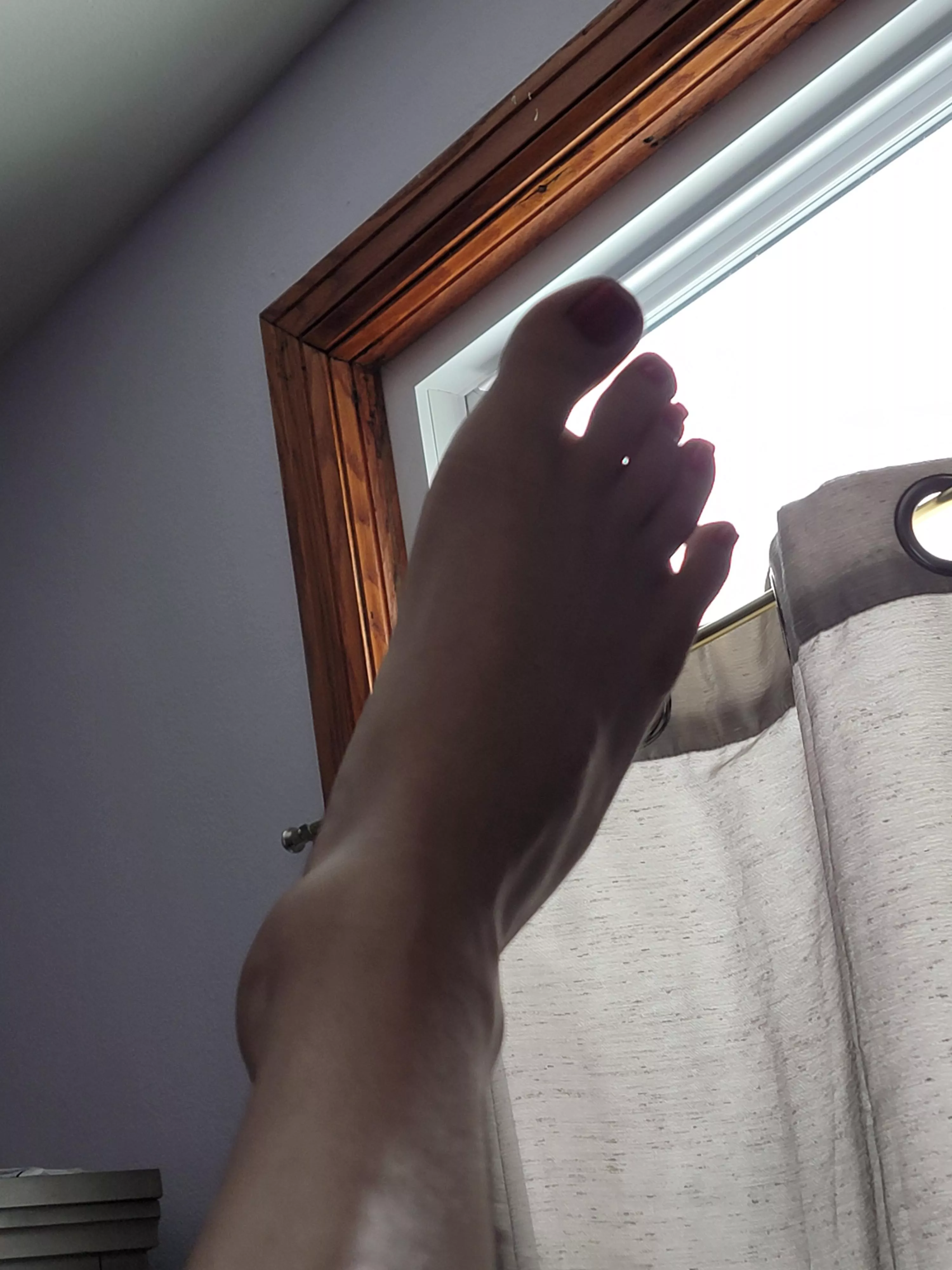 Do these morning kitty toes excite you? ❤️