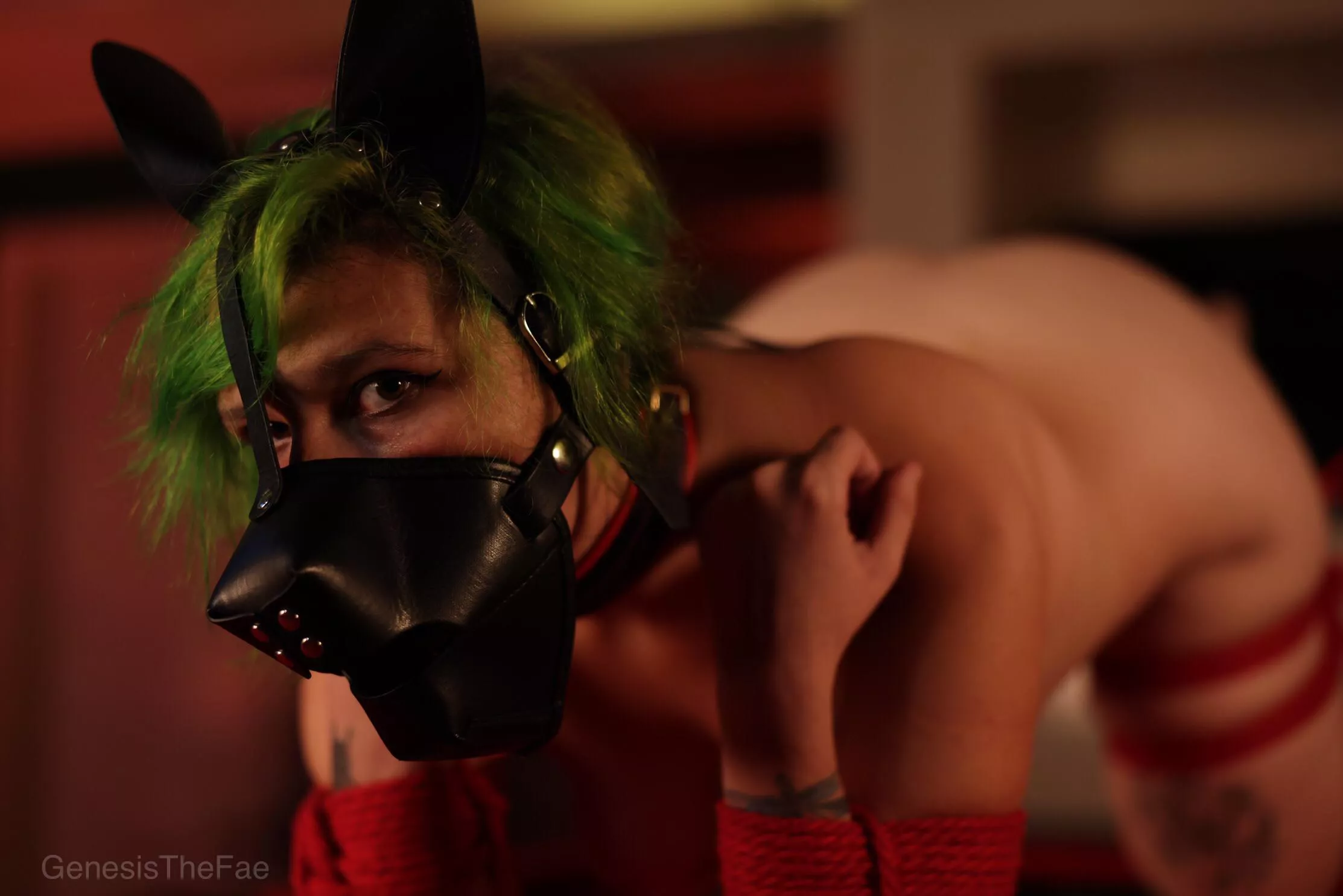 Do you want to see a shibari puppy get hooked?