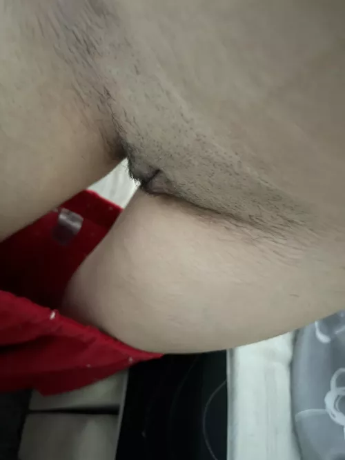 (f18) like it shaved?