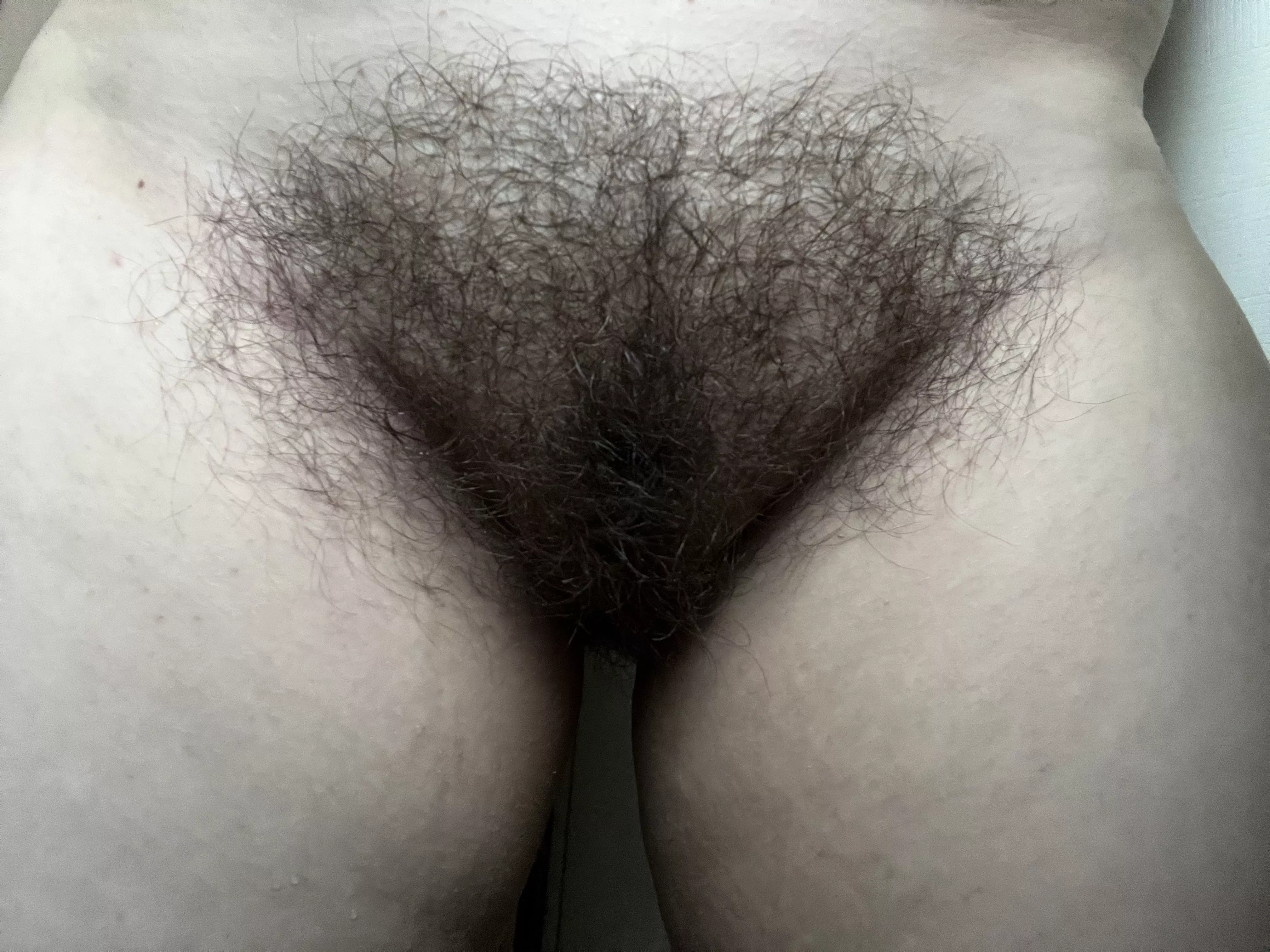 Fresh-from-the-shower bush ;P