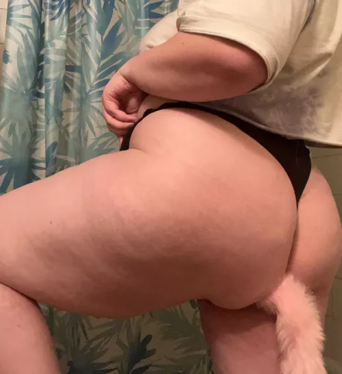 Is it time for a breeding session yet? 😏🧶