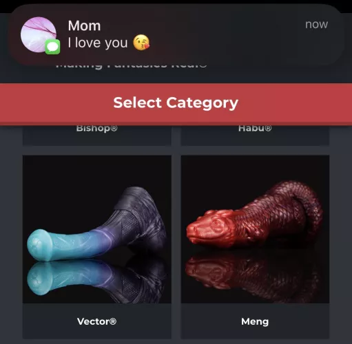 It’s between these two… what do you all think?