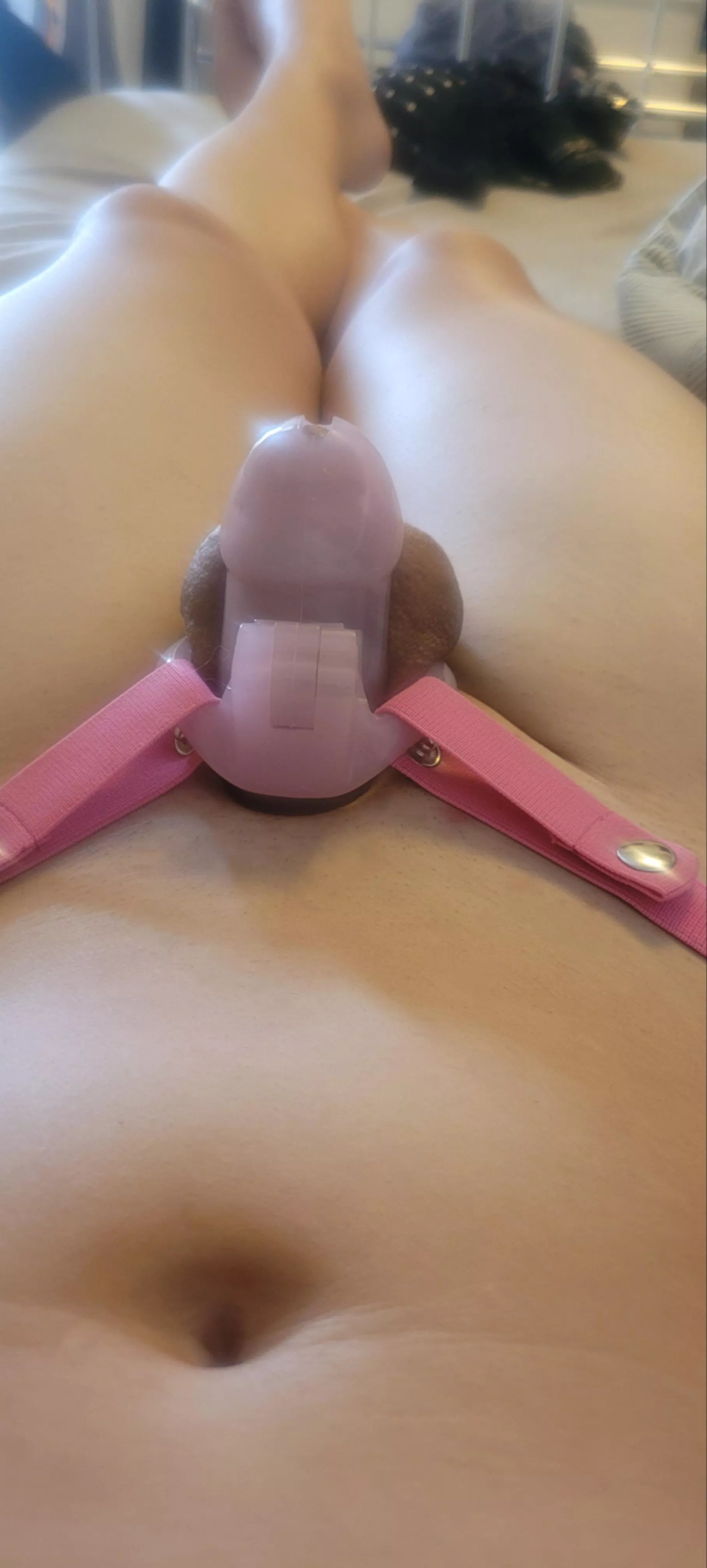 Locked and secured in place, as it should be π Locked and secured in place, as it should be π