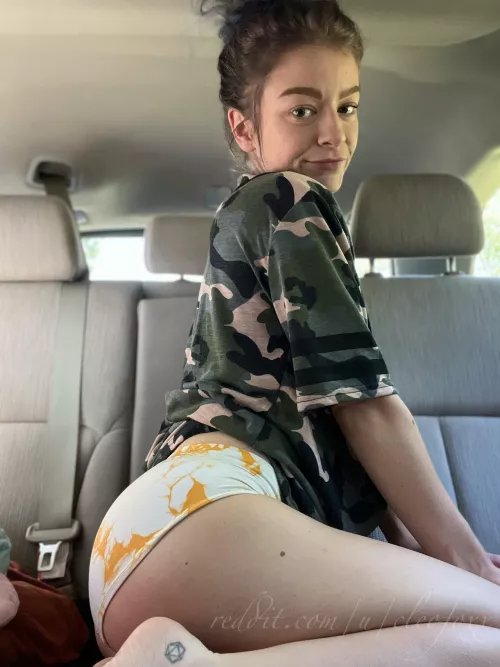 need a road trip buddy