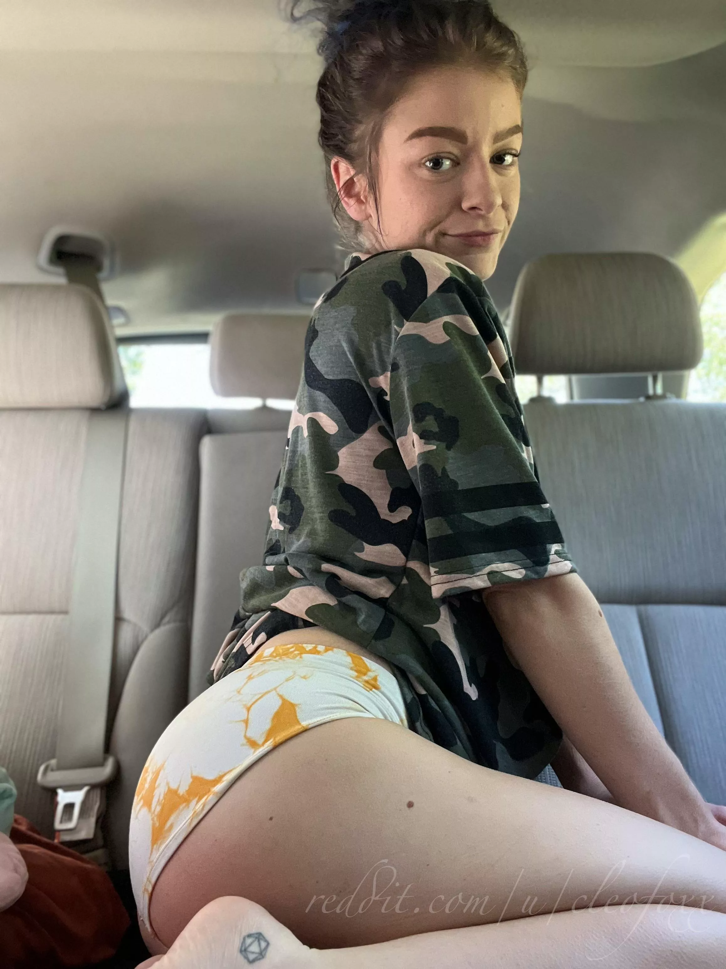 need a road trip buddy