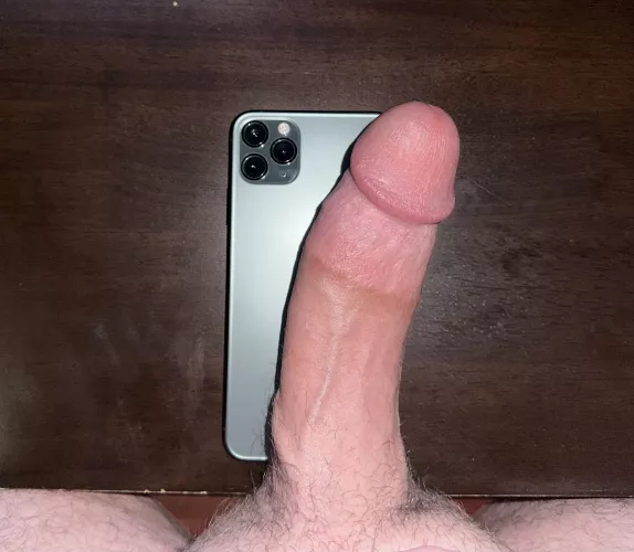 Ontop of a 11 pro max. Is it a good size?