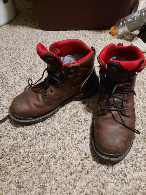 Rocky Ram'sHorn 8 Month Report