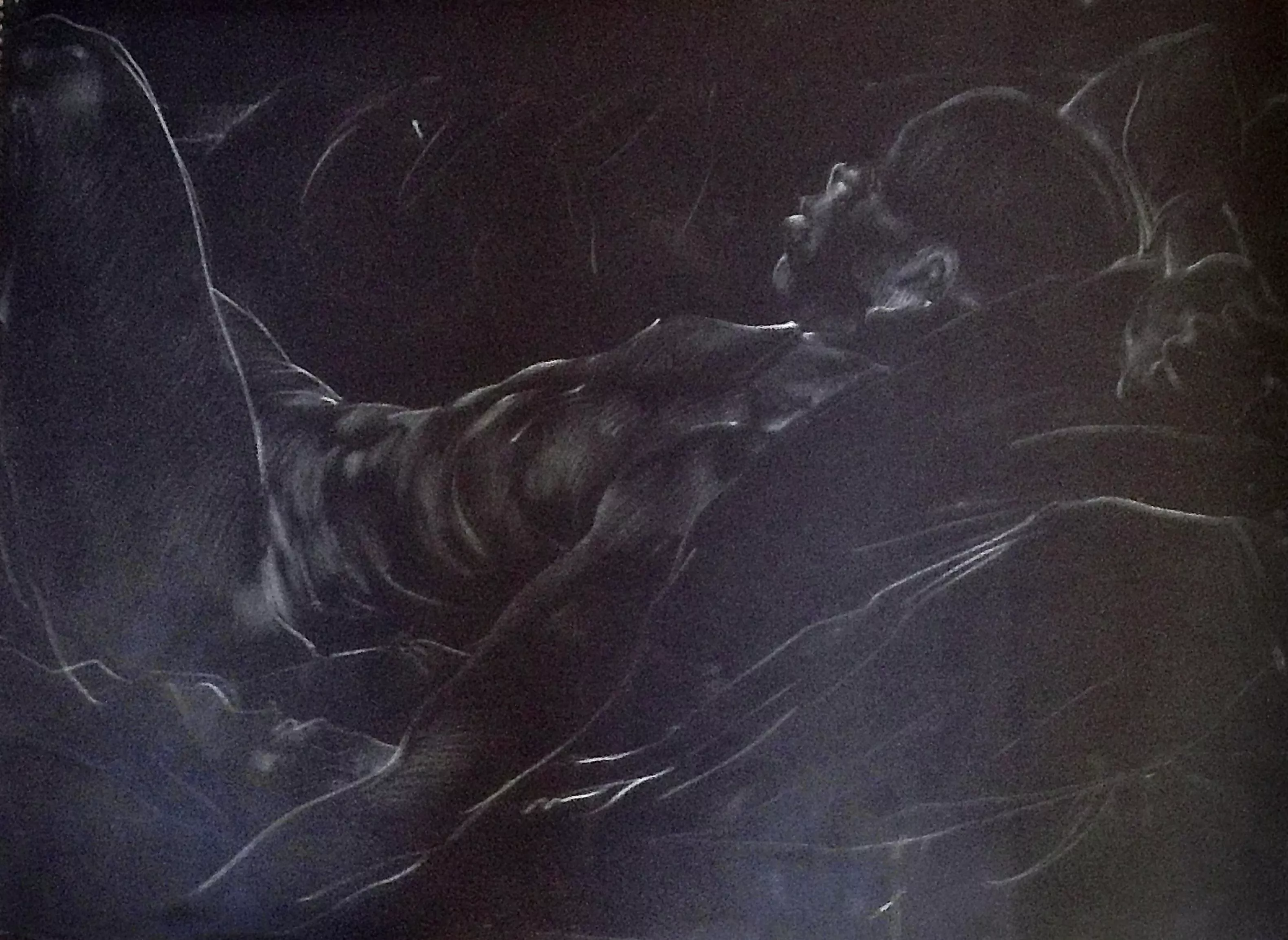 ‘Sunday Supine’ conte’ pencil on paper