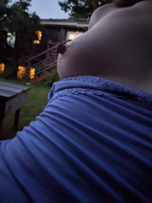 Tit in the moonlight