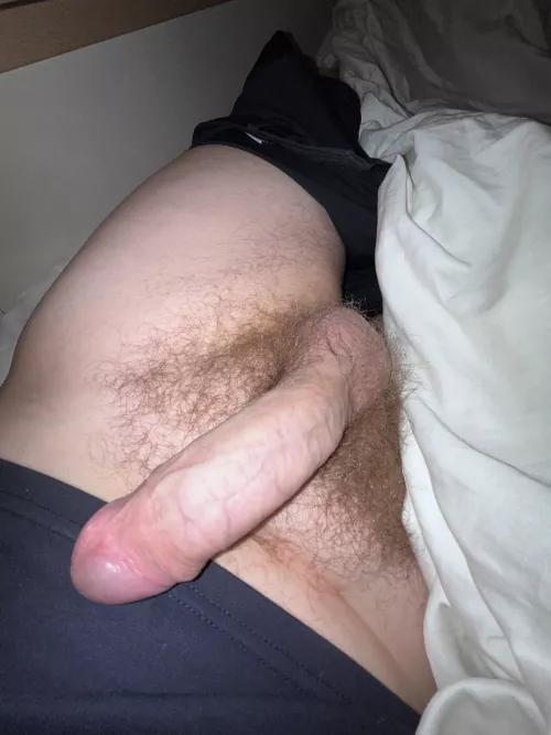 What do you think of the bush!