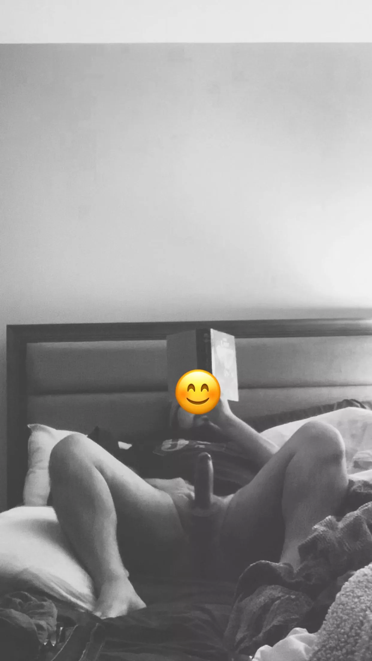 Who’s in a reading type of mood ? Any love for Mexican Bears around here?