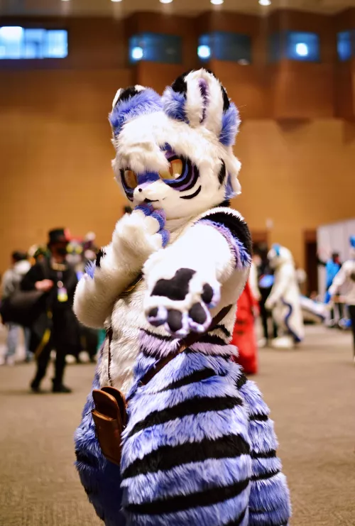 Would You Come with Me?