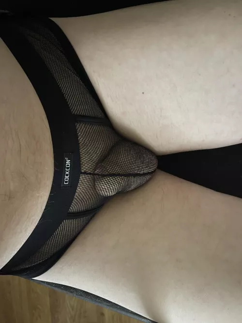 Anyone care to share Toy Sto?