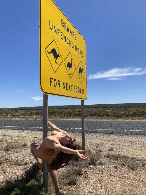 Crossing the Nullaboor saw so many Roos jumping around😍😍