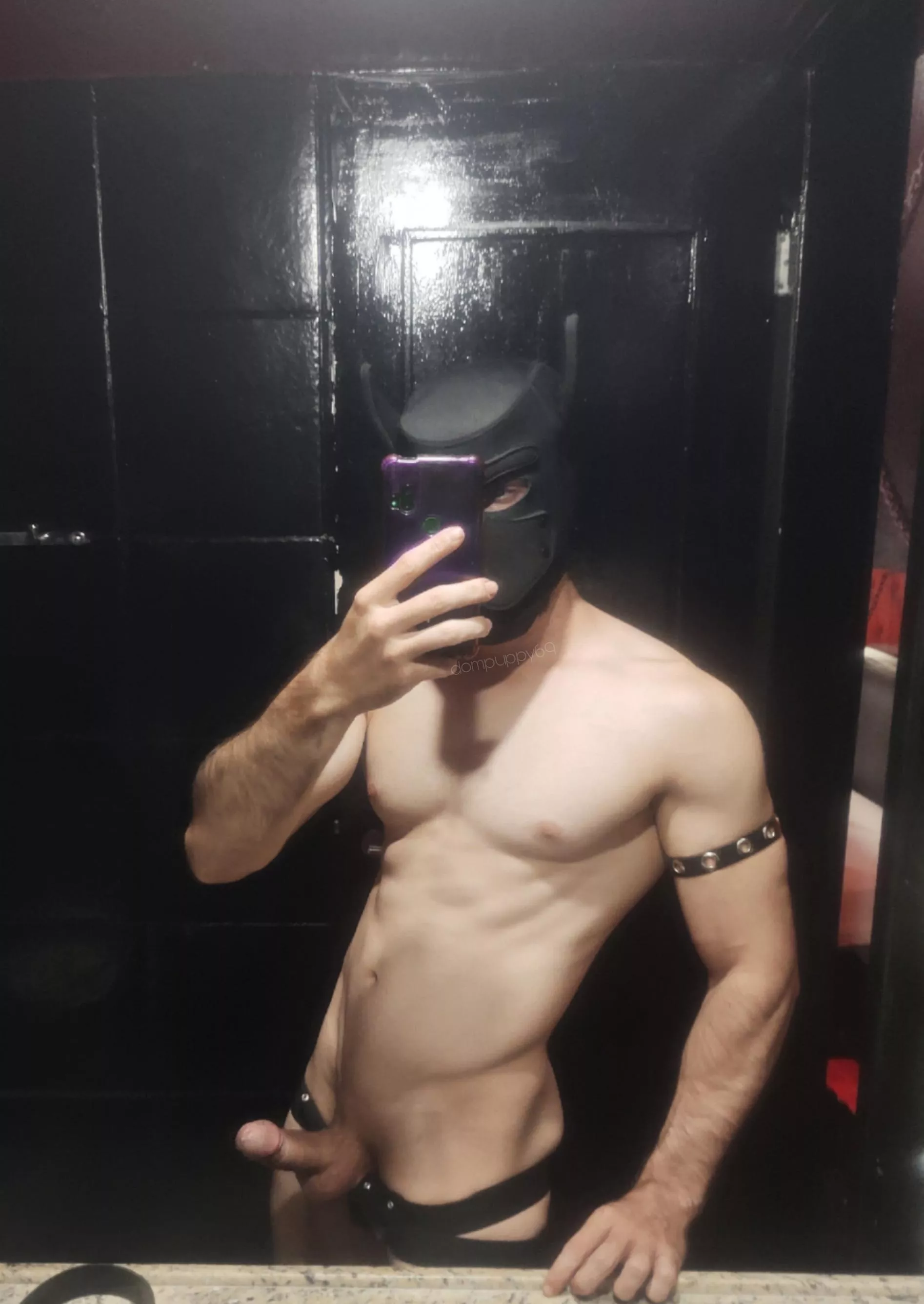 I love my fellow puppies