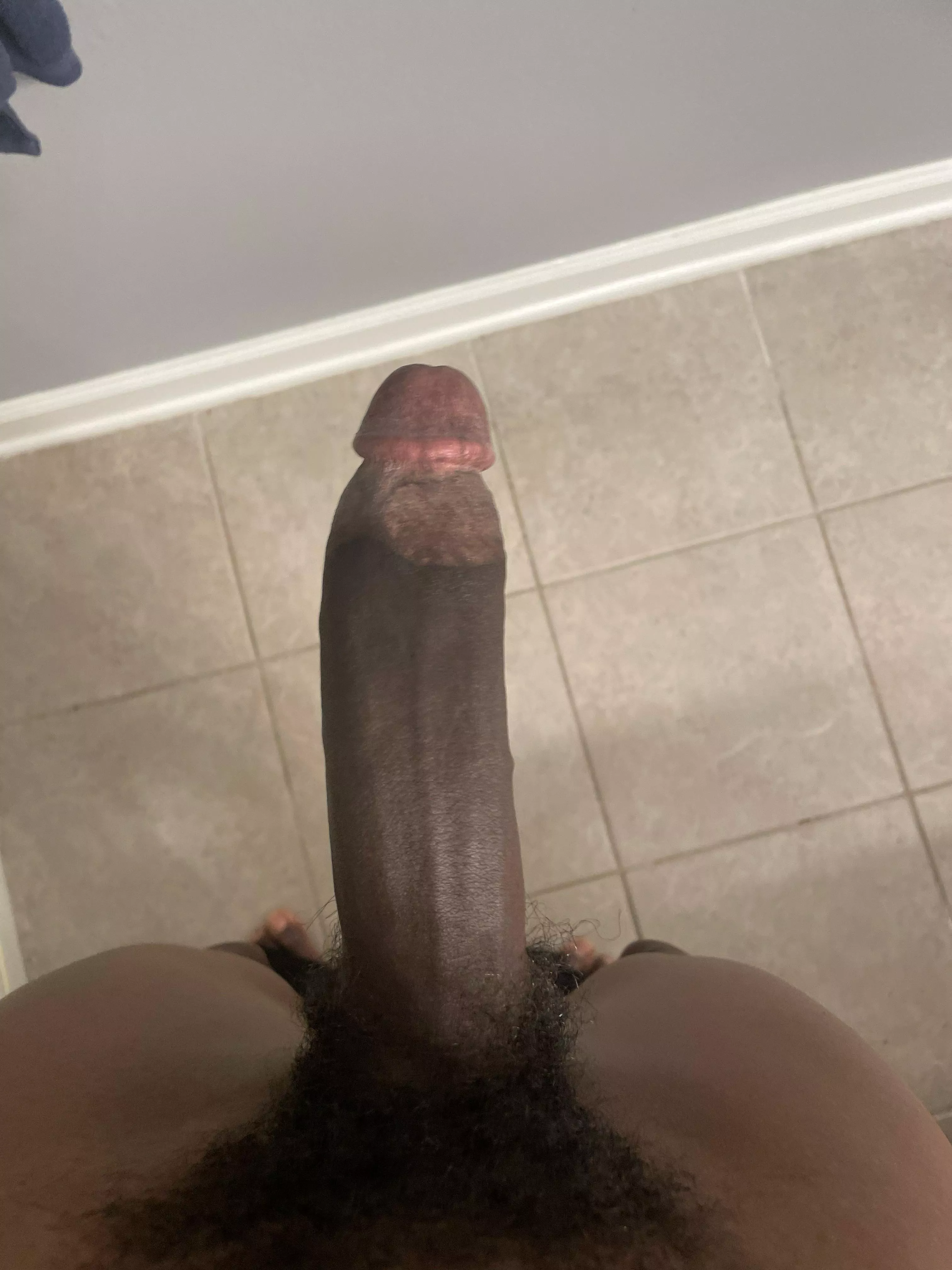 I’m a fox looking for snowbunnies 🐰