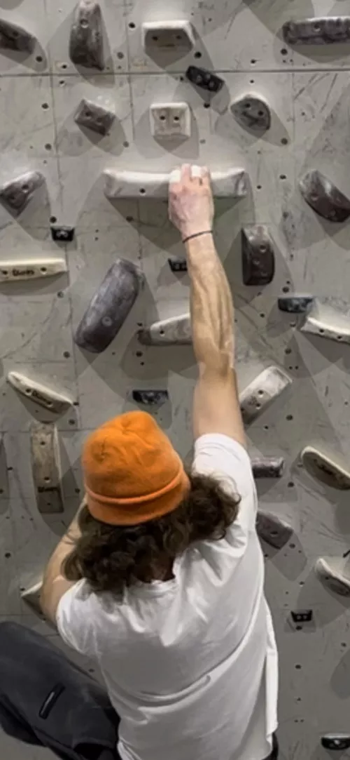 Just a forearm for you all .