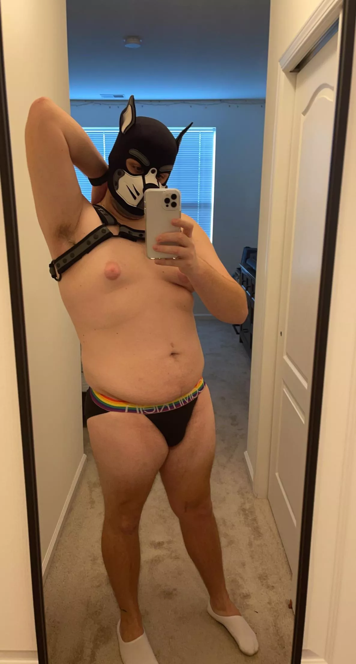 Morning Puppers. Tell me what you think. Anyone around upstate NY?