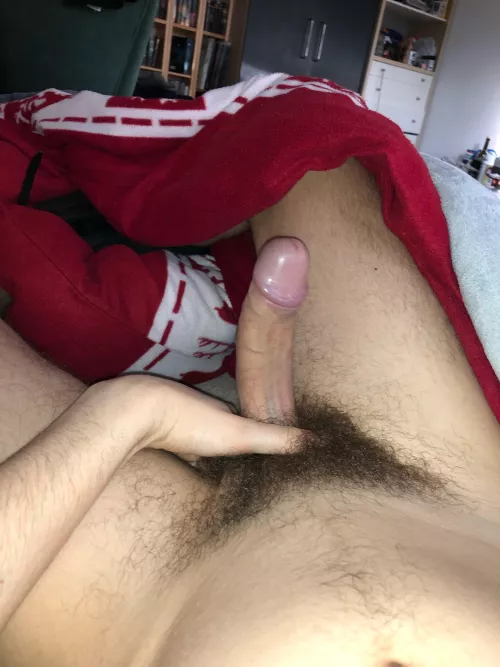 Morning wood