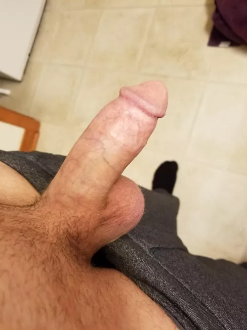 Oops my cock slipped out of my sweats, and right in the middle of my friends kitchen!