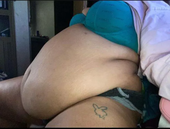 Piggy is going for a beautiful round belly. Is this round enough? Oink oink.