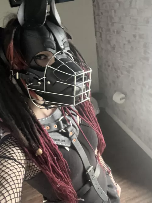 Rave day for the doggo!! X3