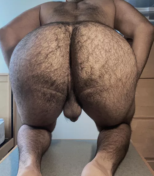 This fat hairy pussy needs a good pounding. Any volunteers?