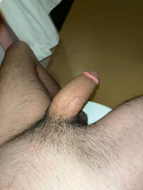 What do you think? Dms are open. Should I shave?