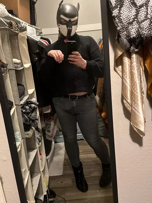 Anyone know if there's any pup events in DFW any time soon? I'm all dressed up and have nothing to do-