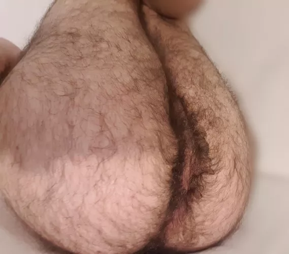 Anyone wanna smash my hairy ass, dm me